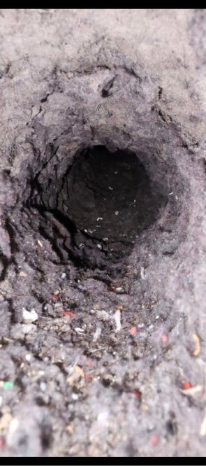 Dryer vent before professional cleaning by T&B